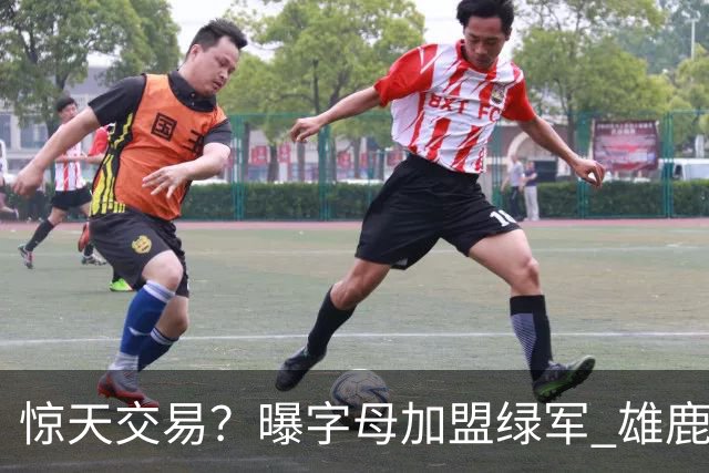 惊天交易？曝字母加盟绿军 雄鹿为布朗寻找第三方